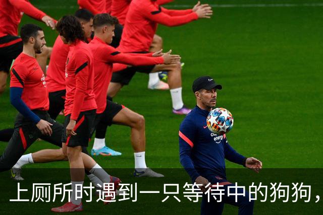 上厕所时遇到一只等待中的狗狗，场面搞笑又尴尬