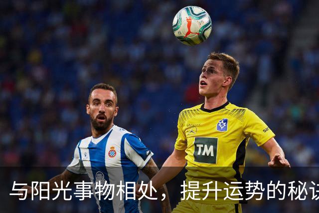 与阳光事物相处，提升运势的秘诀