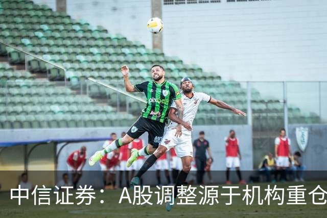 中信证券：A股调整源于机构重仓股波动