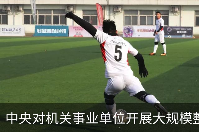 中央对机关事业单位开展大规模整治行动