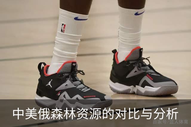 中美俄森林资源的对比与分析