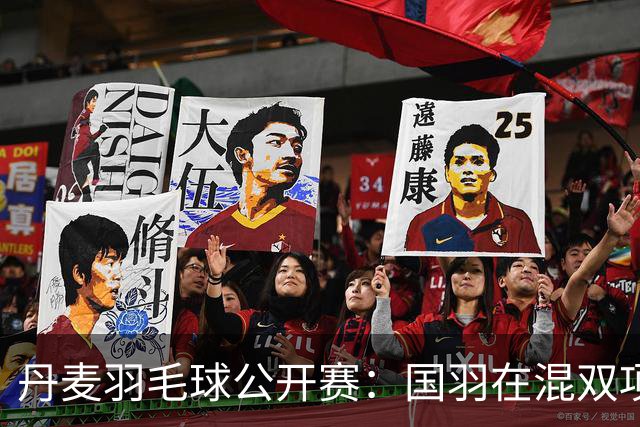 丹麦羽毛球公开赛：国羽在混双项目中囊括四份之一决赛席位