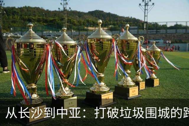 从长沙到中亚：打破垃圾围城的跨境接力