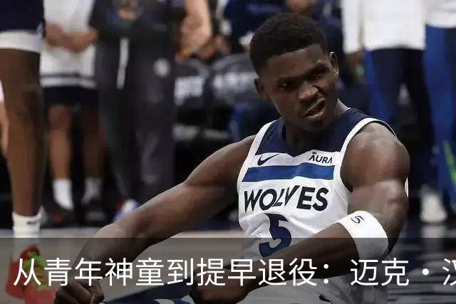 <从青年神童到提早退役：迈克·汉克的沉浮>