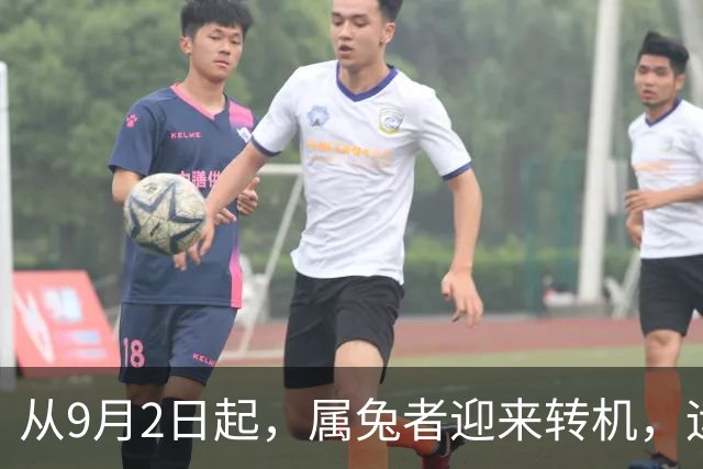 从9月2日起，属兔者迎来转机，运势将有所提升