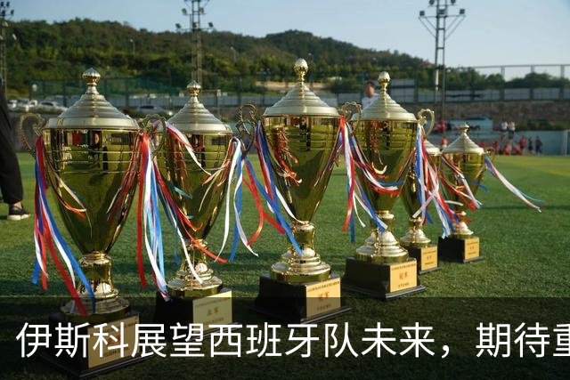 伊斯科展望西班牙队未来，期待重返国家队
