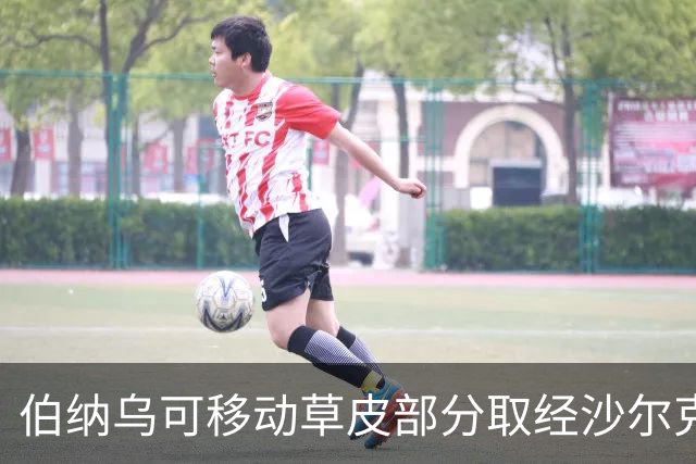 伯纳乌可移动草皮部分取经沙尔克主场