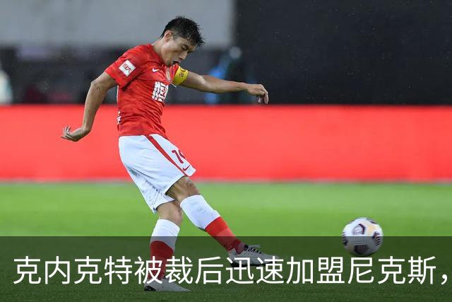 克内克特被裁后迅速加盟尼克斯，年薪不足68万
