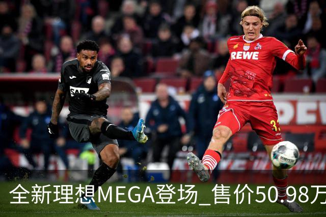 全新理想MEGA登场 售价50.98万元升级豪华配置