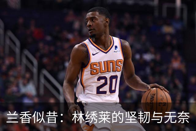 兰香似昔：林绣莱的坚韧与无奈
