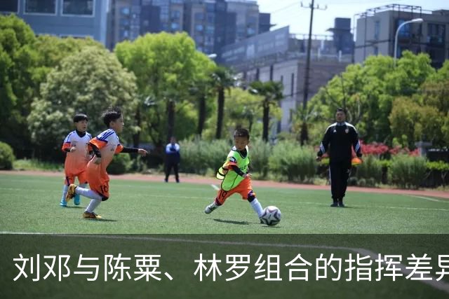 刘邓与陈粟、林罗组合的指挥差异与深层含义探讨