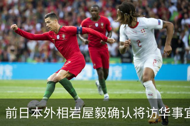 前日本外相岩屋毅确认将访华事宜