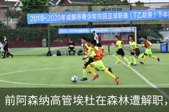 前阿森纳高管埃杜在森林遭解职，两年尝试以失败告终