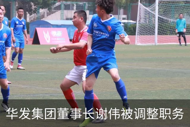 华发集团董事长谢伟被调整职务