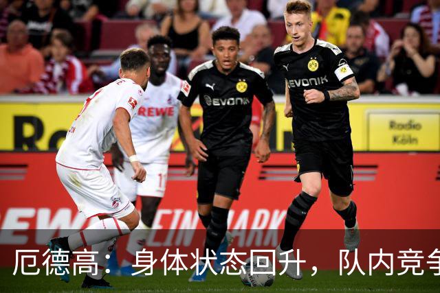 厄德高：身体状态回升，队内竞争会推动我们更进一步