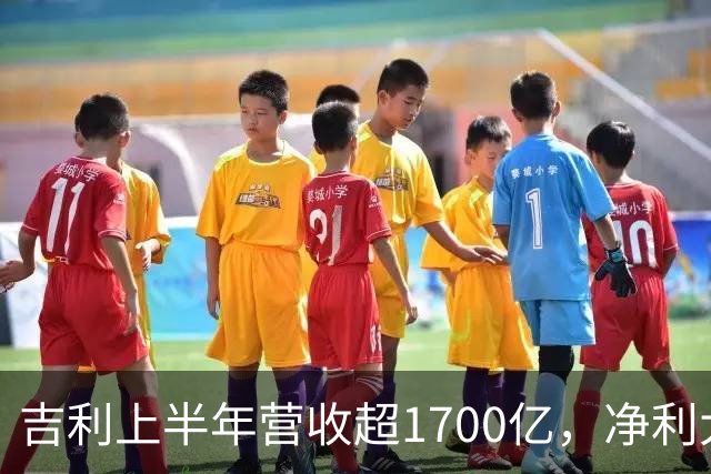 吉利上半年营收超1700亿，净利大增46%