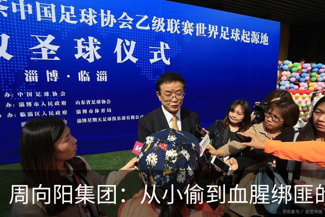 周向阳集团：从小偷到血腥绑匪的覆灭