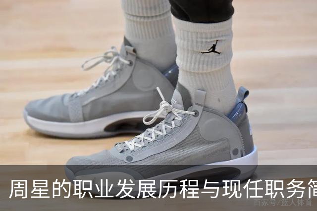 周星的职业发展历程与现任职务简介