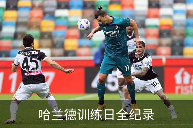 哈兰德训练日全纪录
