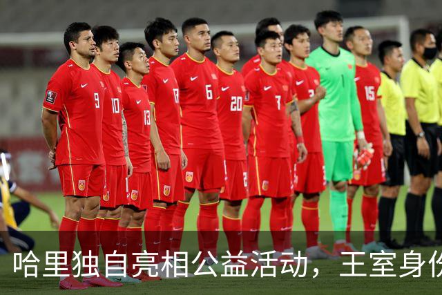 哈里独自亮相公益活动，王室身份再成焦点
