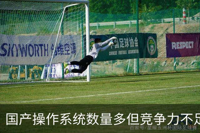 国产操作系统数量多但竞争力不足
