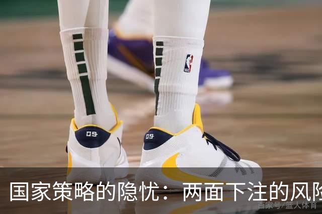 国家策略的隐忧：两面下注的风险与教训
