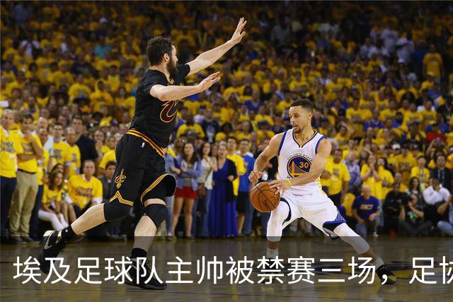 埃及足球队主帅被禁赛三场，足协将上诉