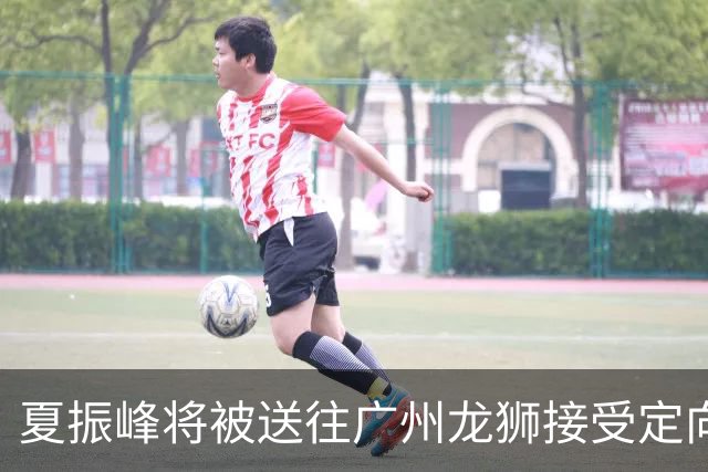 夏振峰将被送往广州龙狮接受定向培养