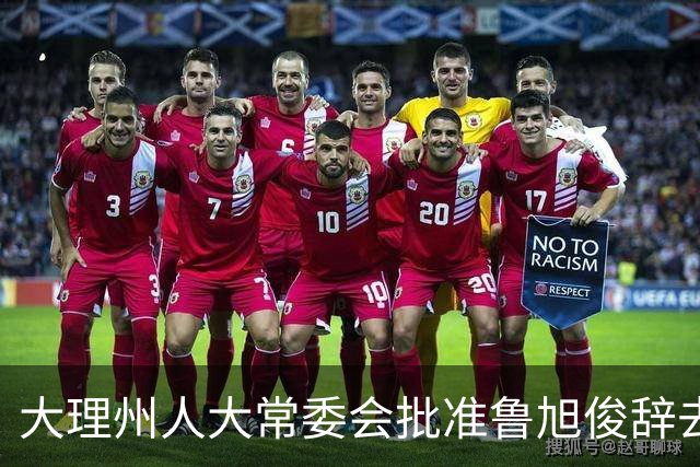 大理州人大常委会批准鲁旭俊辞去副州长职务
