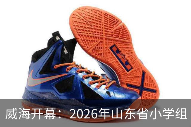 威海开幕：2026年山东省小学组“省长杯”足球赛