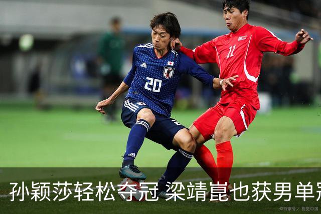 孙颖莎轻松夺冠 梁靖崑也获男单冠军