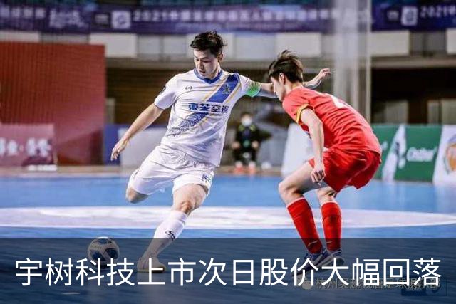 宇树科技上市次日股价大幅回落