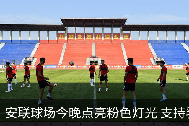 安联球场今晚点亮粉色灯光 支持乳腺癌患者与拜仁球员共入场