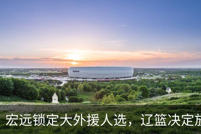 宏远锁定大外援人选，辽篮决定放行俞泽辰
