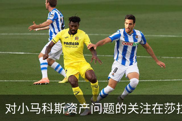 对小马科斯资产问题的关注在莎拉弹劾案中升温