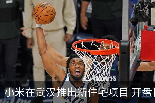 小米在武汉推出新住宅项目 开盘日期已确定