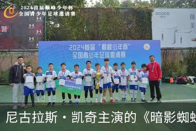 尼古拉斯·凯奇主演的《暗影蜘蛛侠》首季停播