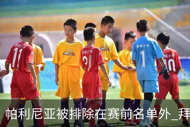 帕利尼亚被排除在赛前名单外 拜仁意在推动离队