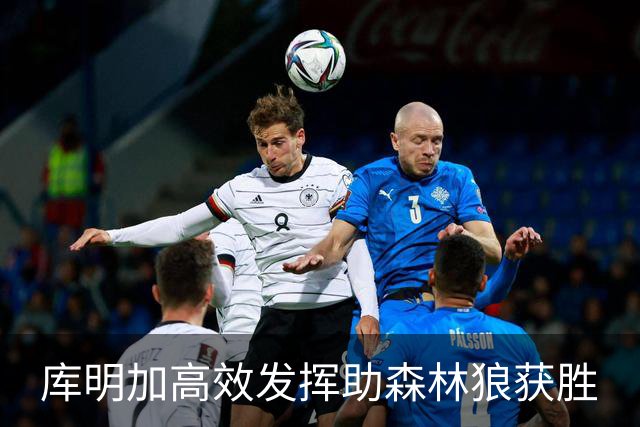 库明加高效发挥助森林狼获胜