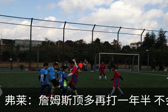 弗莱：詹姆斯顶多再打一年半 不会与布莱斯同场