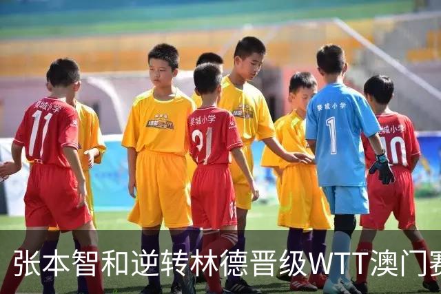 张本智和逆转林德晋级WTT澳门赛八强