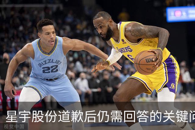 星宇股份道歉后仍需回答的关键问题