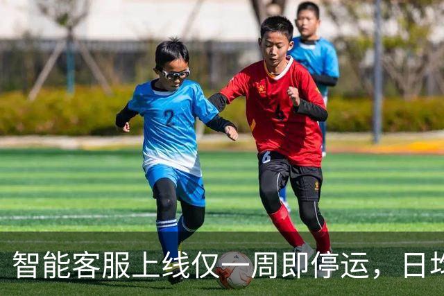 智能客服上线仅一周即停运，日均处理量骤减
