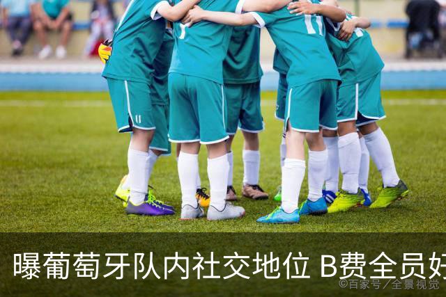 曝葡萄牙队内社交地位 B费全员好友真大哥C罗仅关注4人