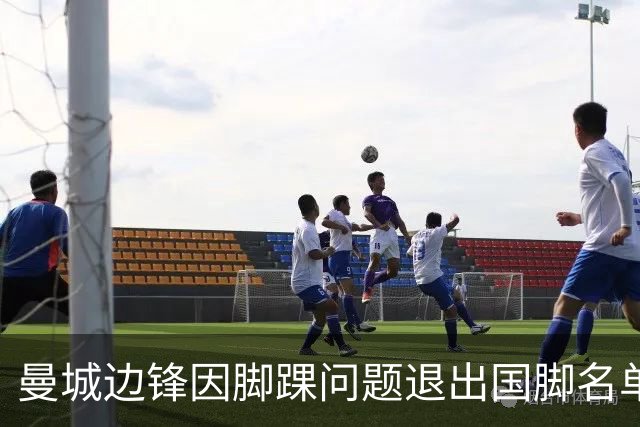 曼城边锋因脚踝问题退出国脚名单