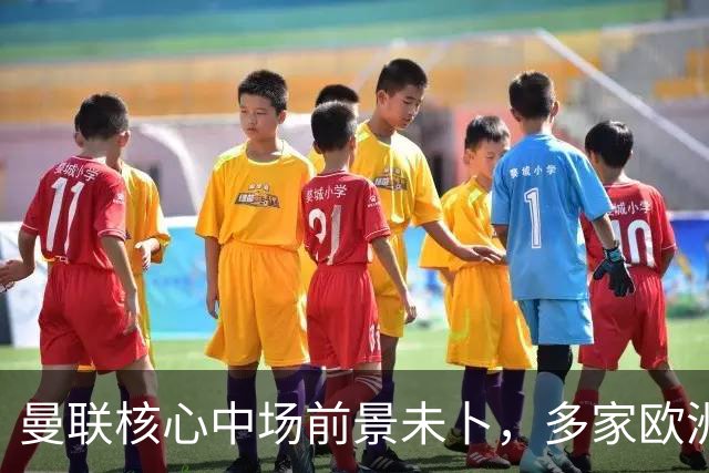 曼联核心中场前景未卜，多家欧洲豪门趋之若鹜