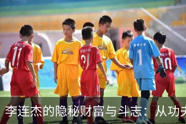李连杰的隐秘财富与斗志：从功夫巨星到低调 philanthropist