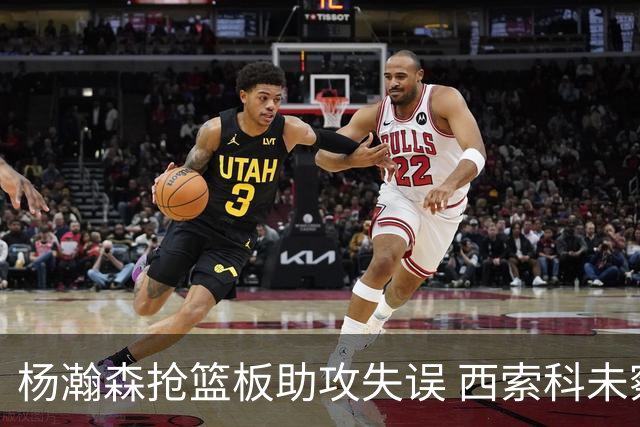 杨瀚森抢篮板助攻失误 西索科未察觉出界