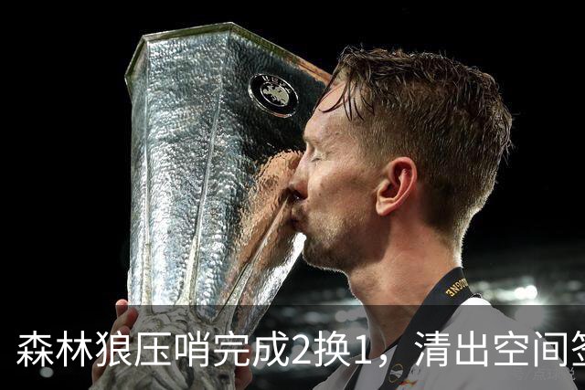 森林狼压哨完成2换1，清出空间签下库明加