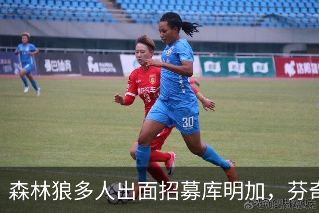 森林狼多人出面招募库明加，芬奇多次长谈